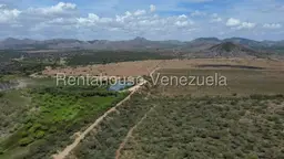 View 19