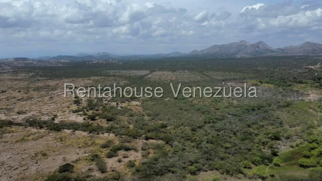 Terreno (Comercial) en Venta en Parroquia Juan de Villegas, Lara - 20