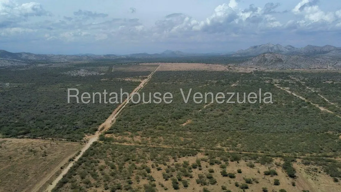 Terreno (Comercial) en Venta en Parroquia Juan de Villegas, Lara - 6