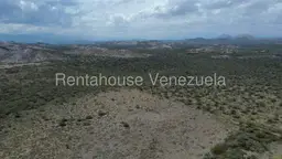 View 10
