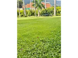 Vista 10