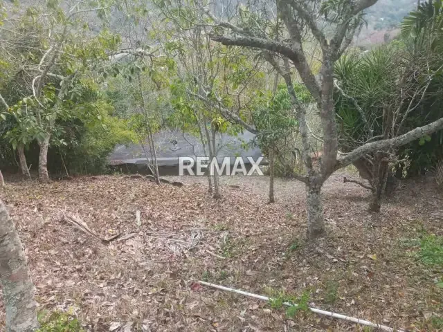 TERRENO CON BIENECHURIA EN VENTA - 10