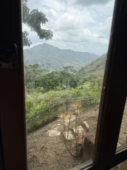 View 23