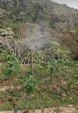 View 5
