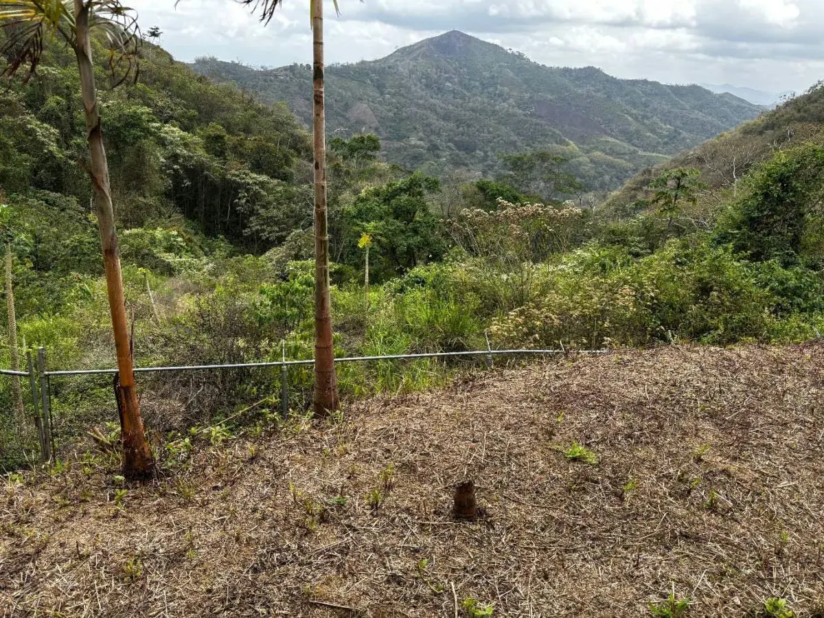 Venta de Terreno San Diego de Los Altos. Miranda - 6