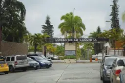 Vista 6