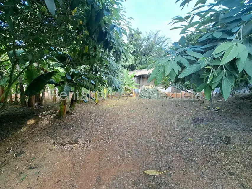 Local Comercial en Venta en Bariqui, Falcon - 15