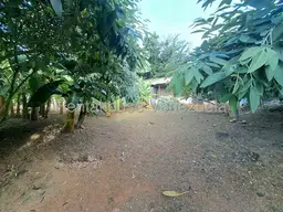 View 15