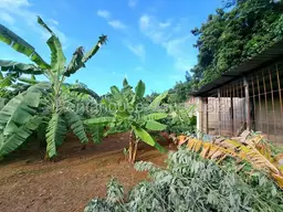 View 16