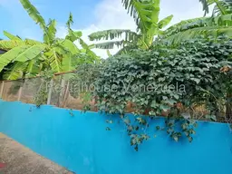 View 18