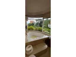 Vista 24