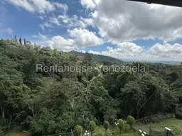 Vista 19