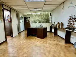 Vista 19