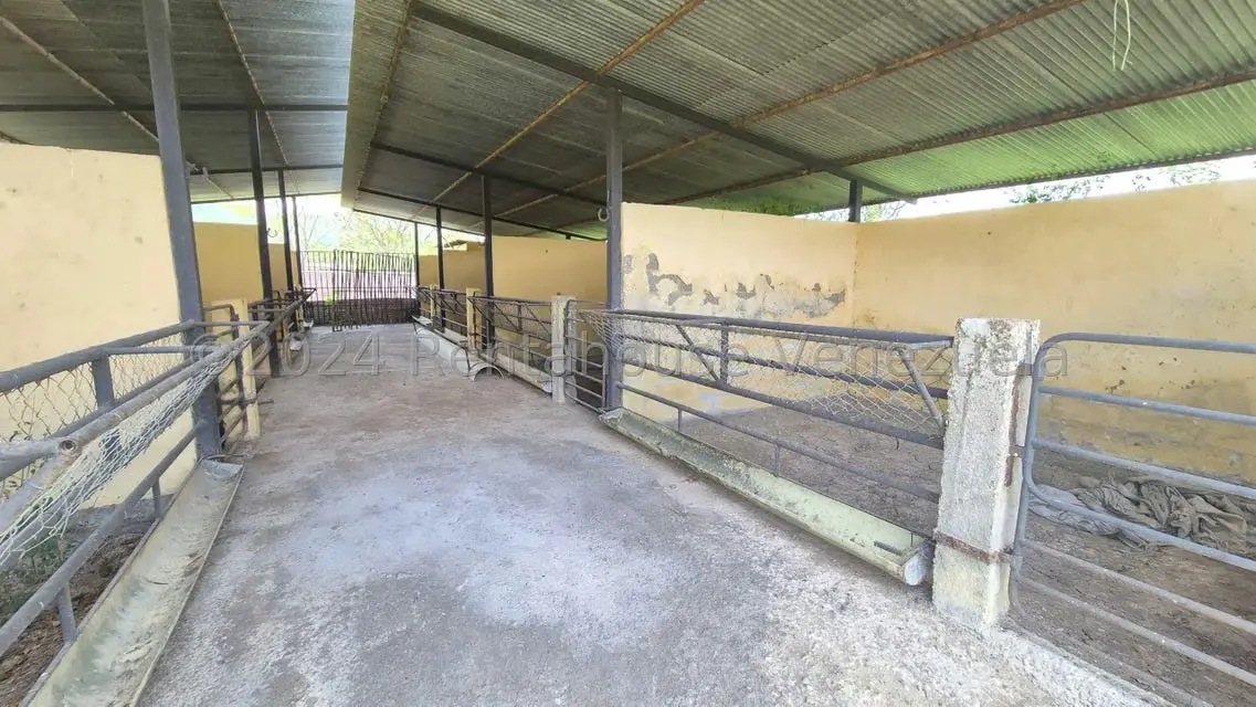 Terreno (Industrial) en Venta en Los Naranjillos, Lara - 11