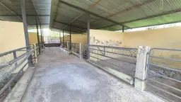 Vista 11