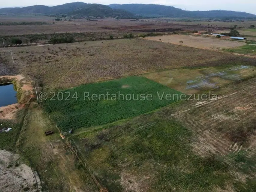 Terreno (Industrial) en Venta en Los Naranjillos, Lara - 33