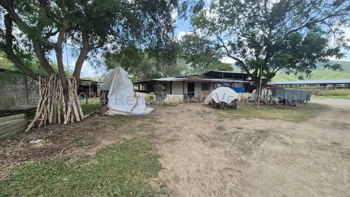 Terreno (Industrial) en Venta en Los Naranjillos, Lara - 37