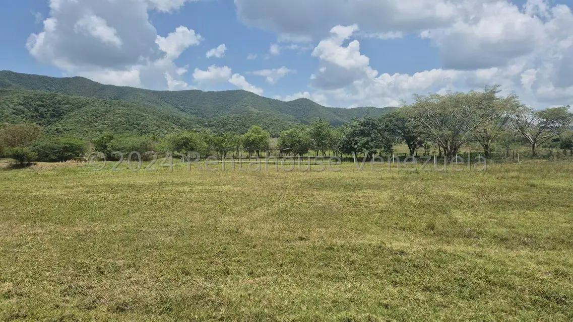 Terreno (Industrial) en Venta en Los Naranjillos, Lara - 4