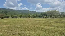 Vista 4