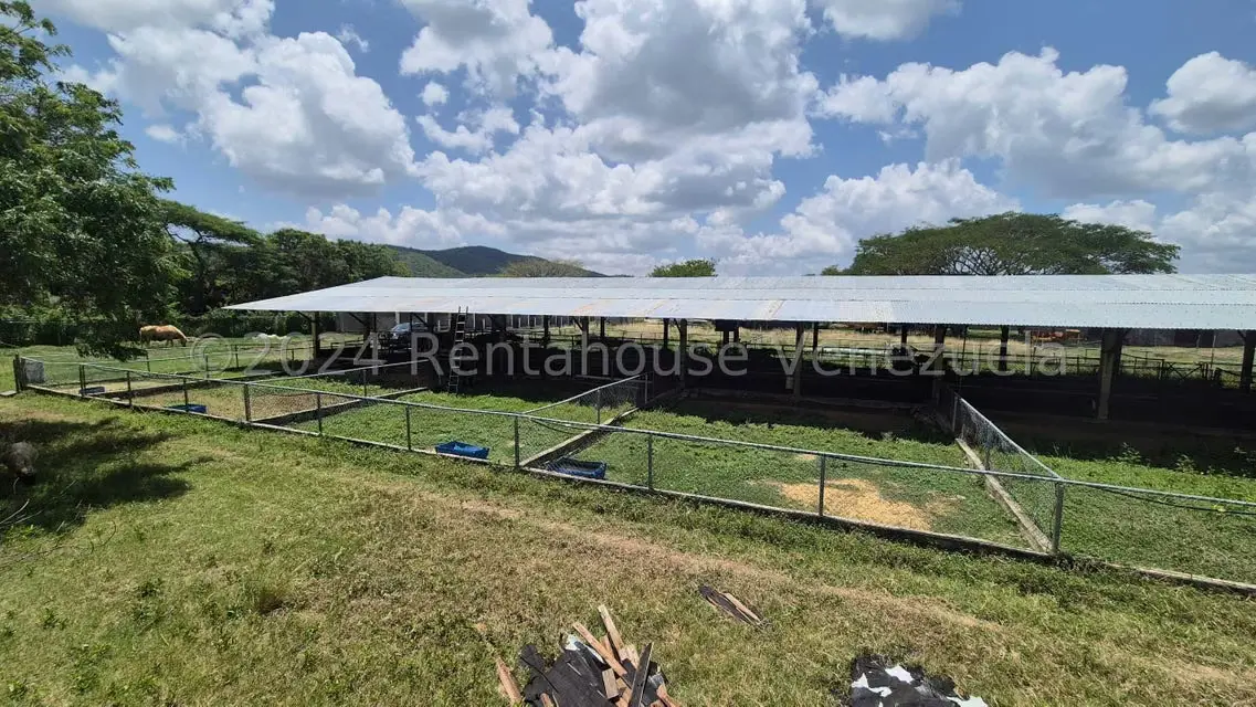 Terreno (Industrial) en Venta en Los Naranjillos, Lara - 42