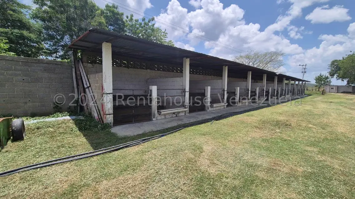Terreno (Industrial) en Venta en Los Naranjillos, Lara - 43