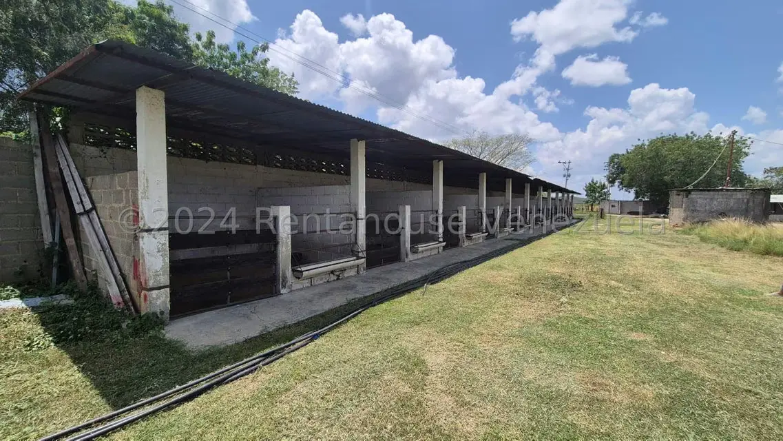 Terreno (Industrial) en Venta en Los Naranjillos, Lara - 46