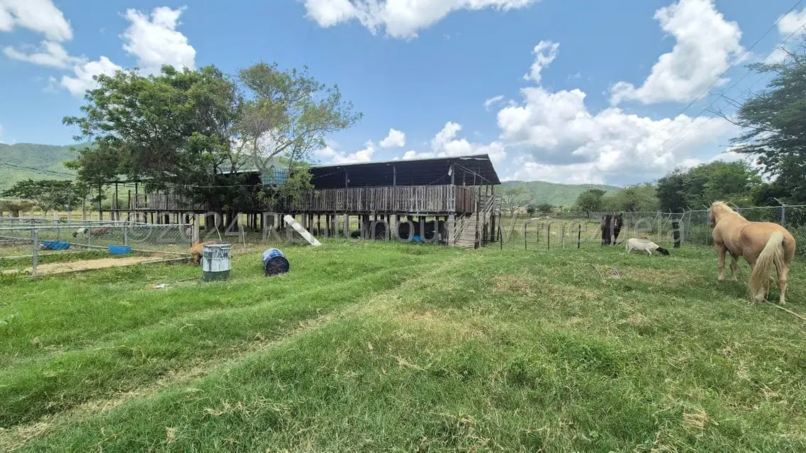 Terreno (Industrial) en Venta en Los Naranjillos, Lara - 47