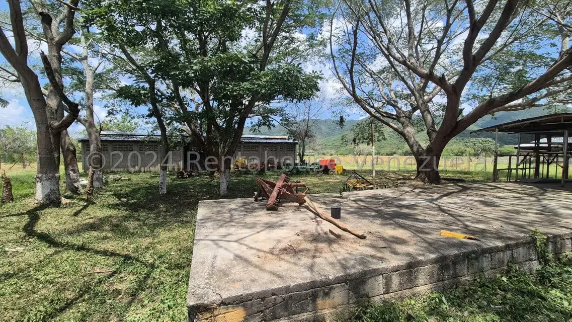 Terreno (Industrial) en Venta en Los Naranjillos, Lara - 50