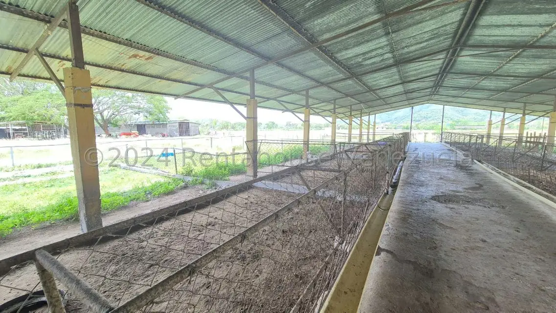 Terreno (Industrial) en Venta en Los Naranjillos, Lara - 52