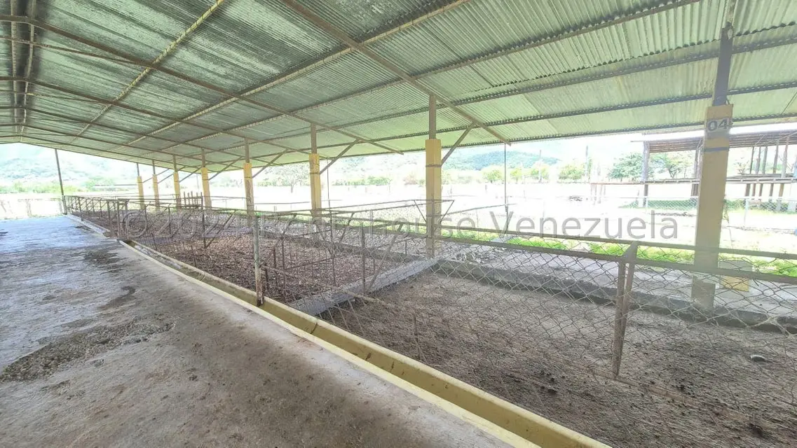 Terreno (Industrial) en Venta en Los Naranjillos, Lara - 53