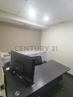 Vista 10