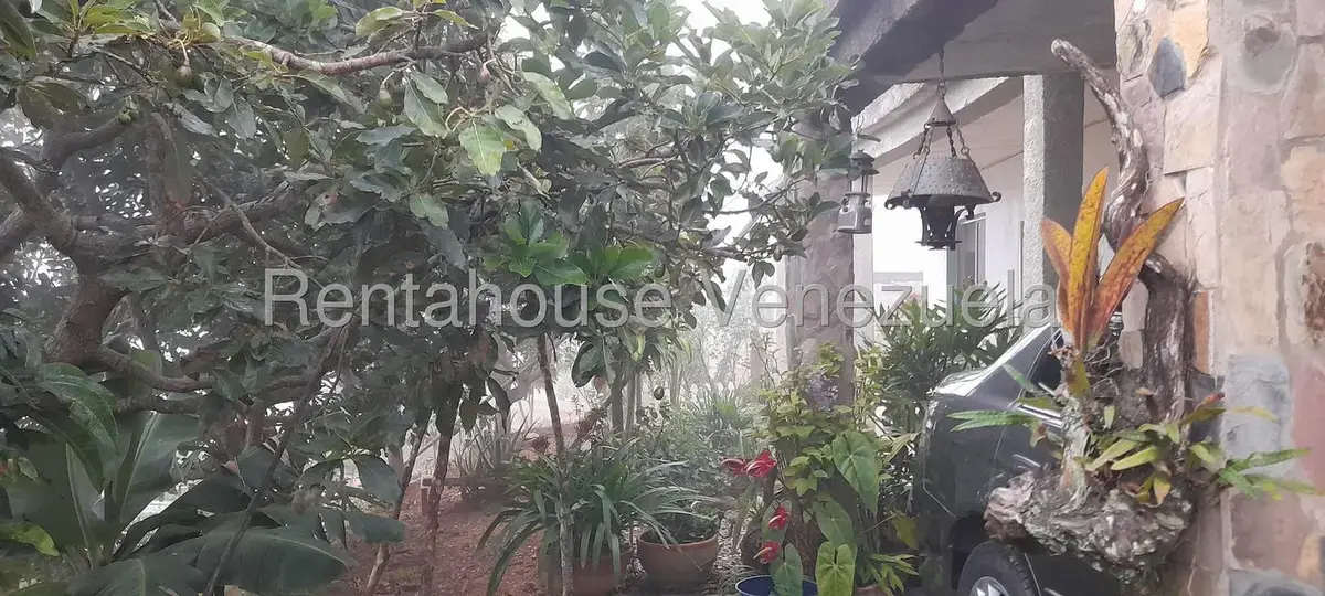 Casa (1 Nivel) en Venta en Sector El Centro Carache, Trujillo - 15