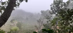 Vista 16