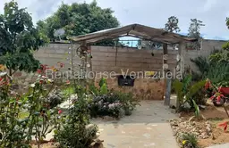 Vista 18