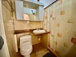 Vista 15