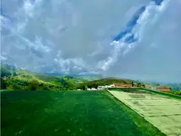 Vista 18