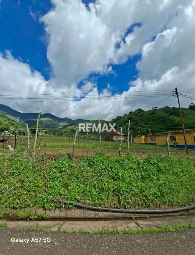 Se vende terreno en el fical aldea salomon municipio Andres Bello Metros² 2,000
