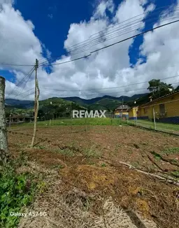 Vista 5
