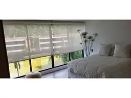 Vista 15