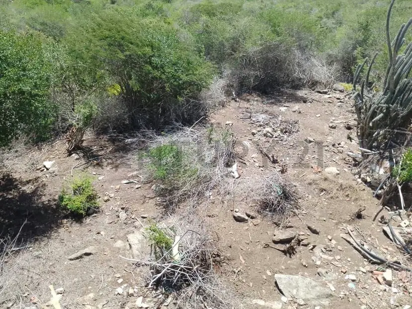 Terreno en Colina de Cimarrón, con excelente ubicación para admirar el mar.