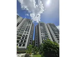 Vista 12