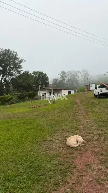 Parcela de 11.120 mtrs2 en la Colorada San Juan de Colón