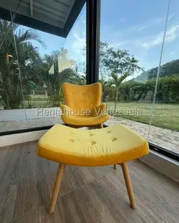 Vista 19