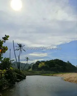 Vista 25