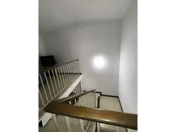 Vista 19