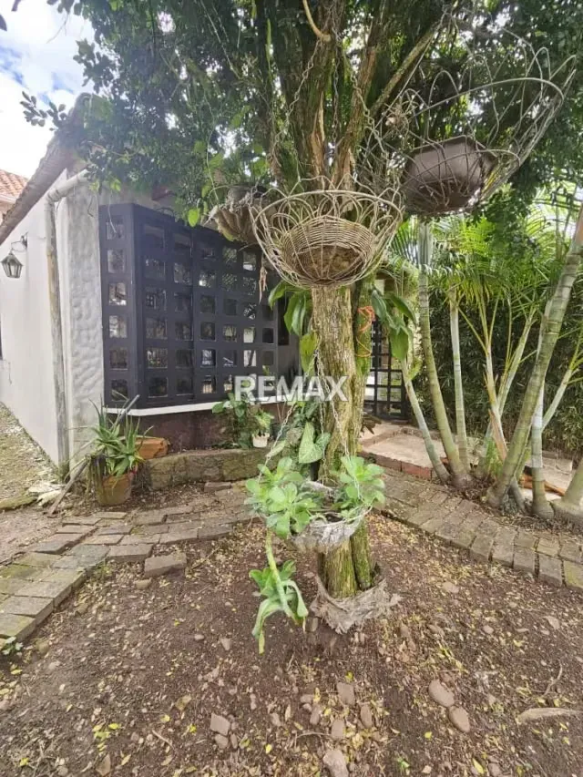 Magnífica Finca Ganadera y Agrícola en Venta Ubicación: Santo Domingo, Zona de La Raya - 20