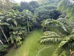 View 18