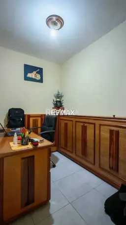Vista 19