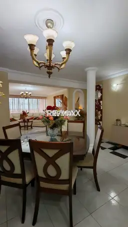 Vista 3