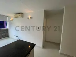 Vista 15